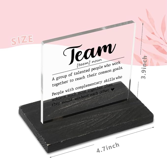 Team Gifts for Employees, Team Definition Teamwork Sign, Motivational Quotes for Desk, Inspiration Work Gifts, Desk Coworker Gifts for Women Office Work Bestie Gifts for Women YTZ76 - LeafyLoom
