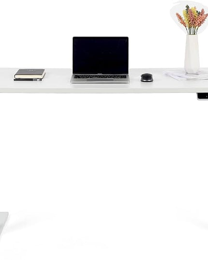 55“*27.5”Height Adjustable Electric Standing Desk with Storage Sit Stand Desk Computer Desk Home Office Desk Memory Controller by BOSCH Motor by BOSCH (Wood/White Frame 55 * 27.5) - LeafyLoom
