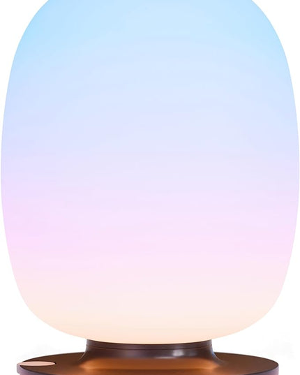 Wellness Table Lamp SKY-VIEW 2, Designed by NASA Engineers – Improves Focus, Boosts Mood, and Helps You Sleep Better - LeafyLoom