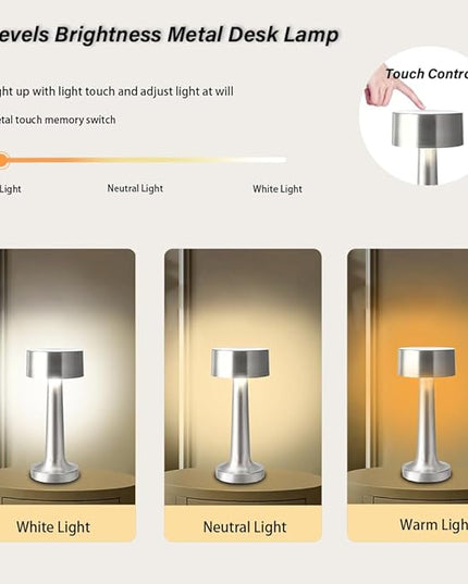Portable LED Table Lamp, 3-Levels Brightness Metal Desk Lamp, 3 Color Touch Control Rechargeable Lamp, Night Light, Bedside Lamp,Dining Room Lamp,Gifts for Friends (Silver) - LeafyLoom