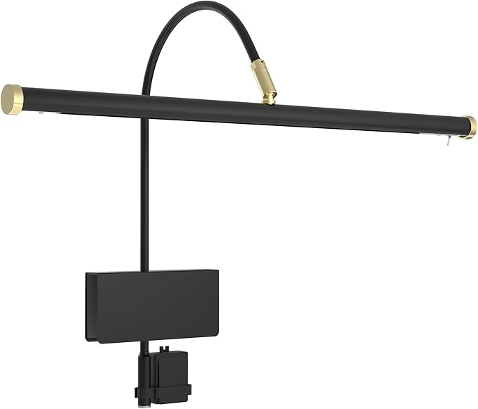 Cocoweb 19" LED Grand Piano Light in Black with Brass Accents with Dimmer Clip - LeafyLoom