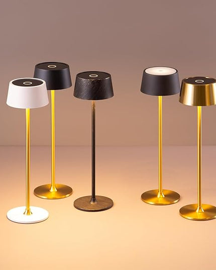 DAWALIGHT Cordless Lamp 4000mAh Rechargeable tbale lamp LED Desk Lamp Stepless Dimming White and Gold Battery Operated Portable Cordless 2700K White Base - LeafyLoom