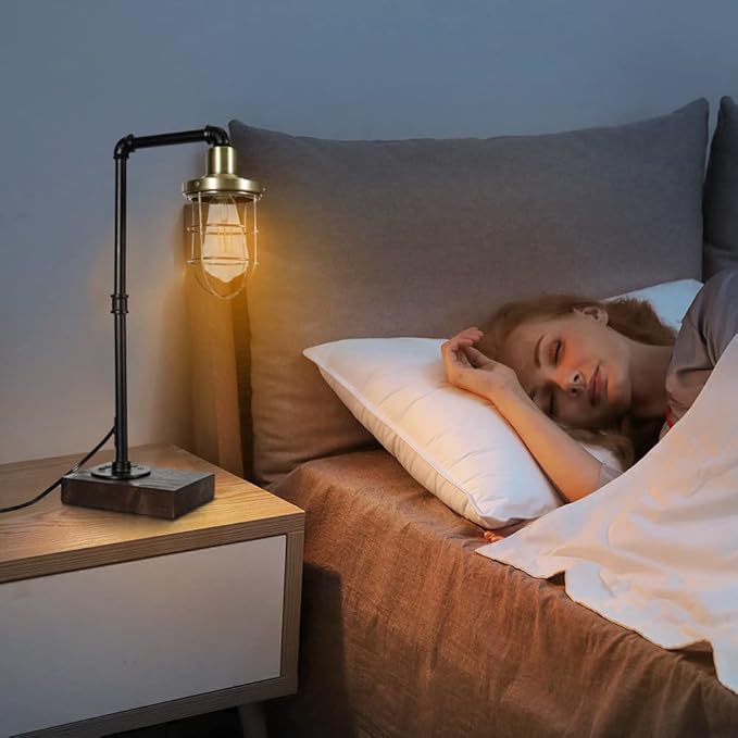 CONCA steampunk table lamp, industrial table lamp,E26 Base Rustic Edison Lighting, cage shade table lamp (B-Black+Bronze) - LeafyLoom