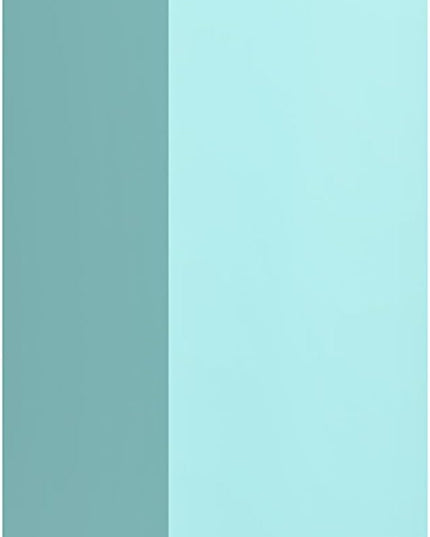 Novogratz Cache Single Metal Locker Storage, Mint Cabinet - LeafyLoom