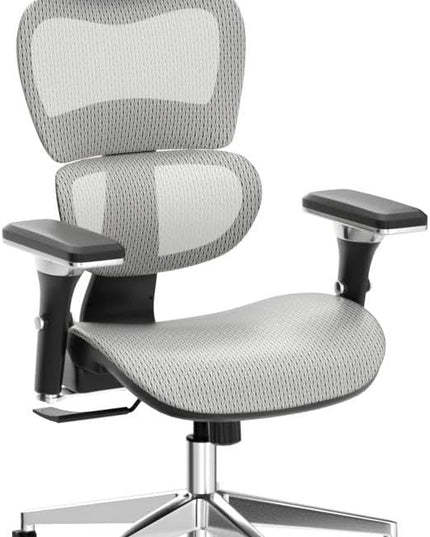 Nouhaus Ergo3D Ergonomic Office Chair Lumbar Support Mesh Office Chair with 4D Adjustable Armrest, Adjustable Headrest and Wheels, Mesh High Back Home Office Desk Chairs (Grey) - LeafyLoom