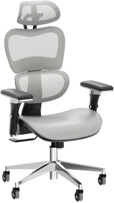 Nouhaus Ergo3D Ergonomic Office Chair Lumbar Support Mesh Office Chair with 4D Adjustable Armrest, Adjustable Headrest and Wheels, Mesh High Back Home Office Desk Chairs (Grey) - LeafyLoom