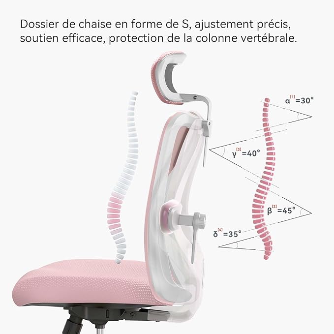 SIHOO M18 Ergonomic Office Chair, Computer Desk Chair with Adjustable Headrest and Lumbar Support, High Back Executive Swivel Chair for Home Office (Light Pink) - LeafyLoom