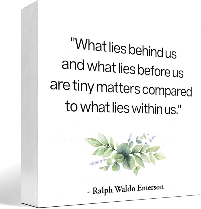 Inspirational Wood Box Sign Desk Decor,What Lies Before Us and What Lies Before Us Quote Wood Plaque Signs,Rustic Positive Wooden Block Sign Decor for Home Office Shelf Desk Table Decoration C1065 - LeafyLoom