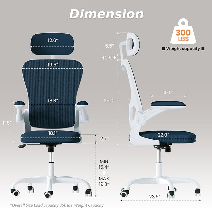 Ergonomic Office Chair, High Back Home Desk Chair with Adjustable Lumbar Support and Headrest, Breathable Mesh Swivel Task Chair, Executive Computer Chair White, 1 Pack - LeafyLoom