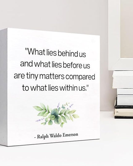Inspirational Wood Box Sign Desk Decor,What Lies Before Us and What Lies Before Us Quote Wood Plaque Signs,Rustic Positive Wooden Block Sign Decor for Home Office Shelf Desk Table Decoration C1065 - LeafyLoom