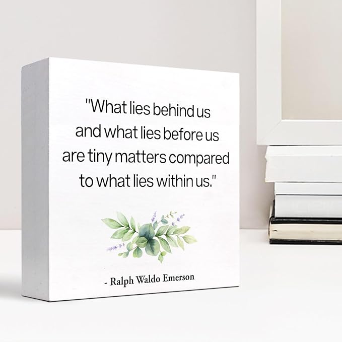 Inspirational Wood Box Sign Desk Decor,What Lies Before Us and What Lies Before Us Quote Wood Plaque Signs,Rustic Positive Wooden Block Sign Decor for Home Office Shelf Desk Table Decoration C1065 - LeafyLoom