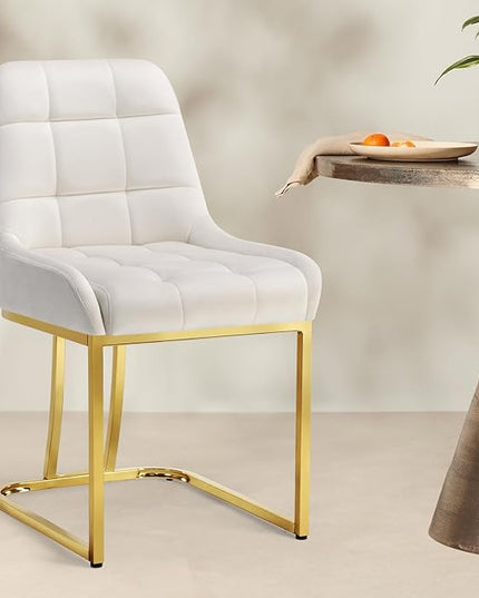 STARY Upholstered Velvet Armless Dining Room Chairs with Gold Metal Legs for Kitchen Restaurant, Beige- Set of 4 - LeafyLoom