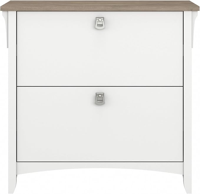 Bush Furniture Salinas 2 Drawer Lateral File Cabinet in Pure White and Shiplap Gray - LeafyLoom