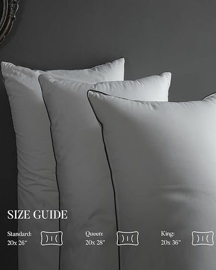 Hungarian Goose Down Pillows Queen Size, Fluffy 3-Chamber Bed Pillows for Sleeping, Luxurious Soft Cloud Pillow for Back, Stomach or Side Sleepers(Queen, 1 Pack) - LeafyLoom