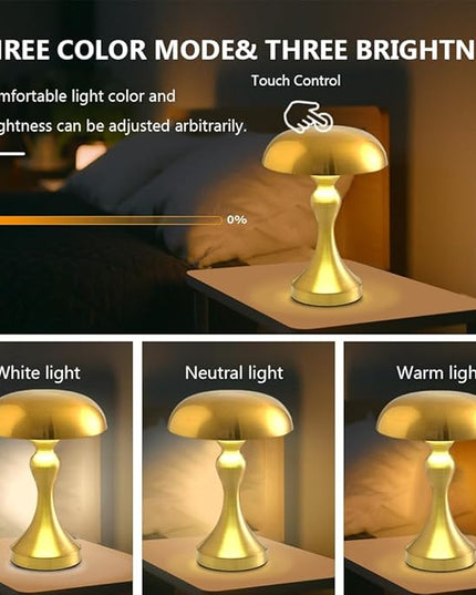 Portable Metal Desk Lamp,3-Color Touch Control, Rechargeable Battery - Ideal Bedside Lamp for Bedroom Nightstand - LeafyLoom