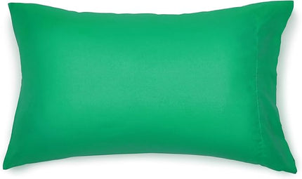 Amazon Basics 5 Piece Microfiber Kid's Bed-in-a-Bag Bedding Set, Twin, Green, Solid - LeafyLoom
