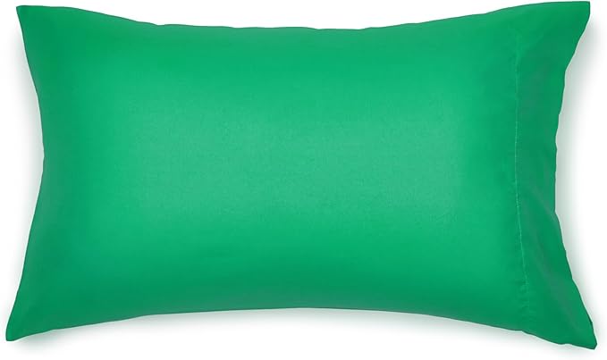 Amazon Basics 5 Piece Microfiber Kid's Bed-in-a-Bag Bedding Set, Twin, Green, Solid - LeafyLoom