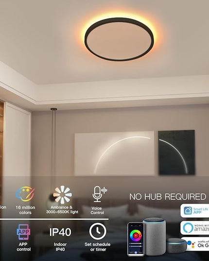 TALOYA 2 Pack Black Smart Ceiling Light Flush Mount LED WiFi, Compatible with Alexa Google Home, Dimmable Low Profile Ambient Light Fixture for Bedroom Living Room,12 Inch 24W Taloya