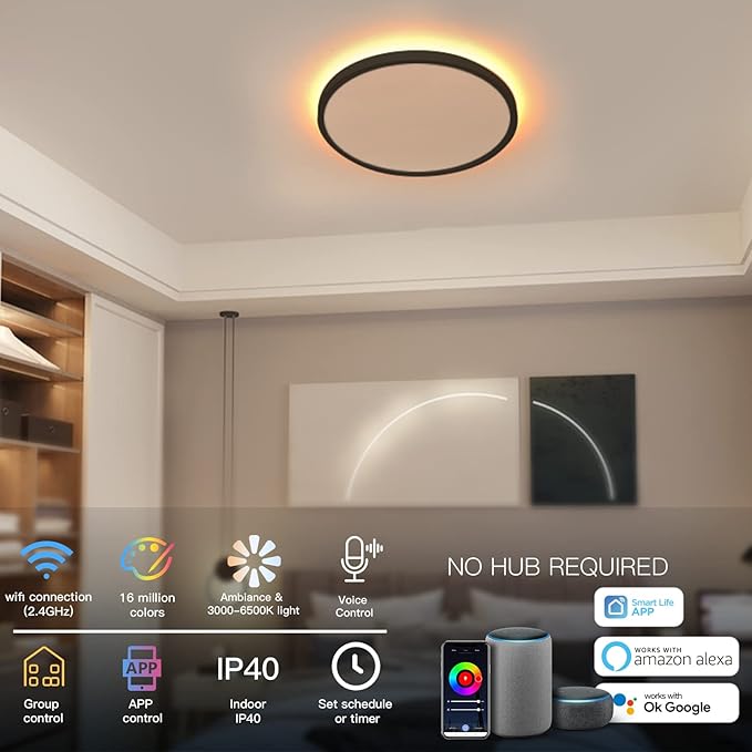 TALOYA 2 Pack Black Smart Ceiling Light Flush Mount LED WiFi, Compatible with Alexa Google Home, Dimmable Low Profile Ambient Light Fixture for Bedroom Living Room,12 Inch 24W Taloya