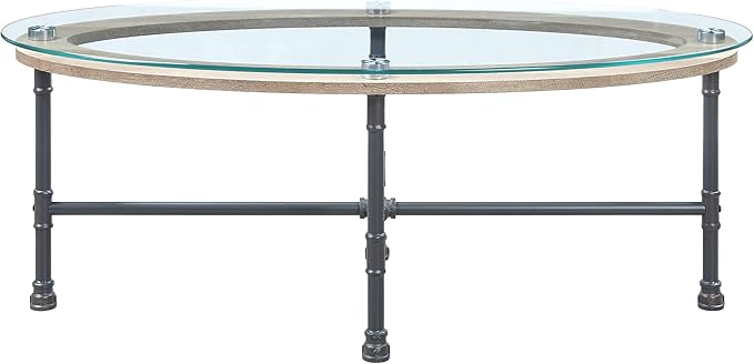 NicBex Coffee Table Morden Tempered Glass Coffee Table with Storage Oval Center Tables with Metal Legs Dining Table for Living Room, Dining Room, Office, and Bedroom,47" W, Transparent+Gray - LeafyLoom