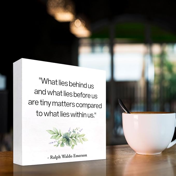 Inspirational Wood Box Sign Desk Decor,What Lies Before Us and What Lies Before Us Quote Wood Plaque Signs,Rustic Positive Wooden Block Sign Decor for Home Office Shelf Desk Table Decoration C1065 - LeafyLoom
