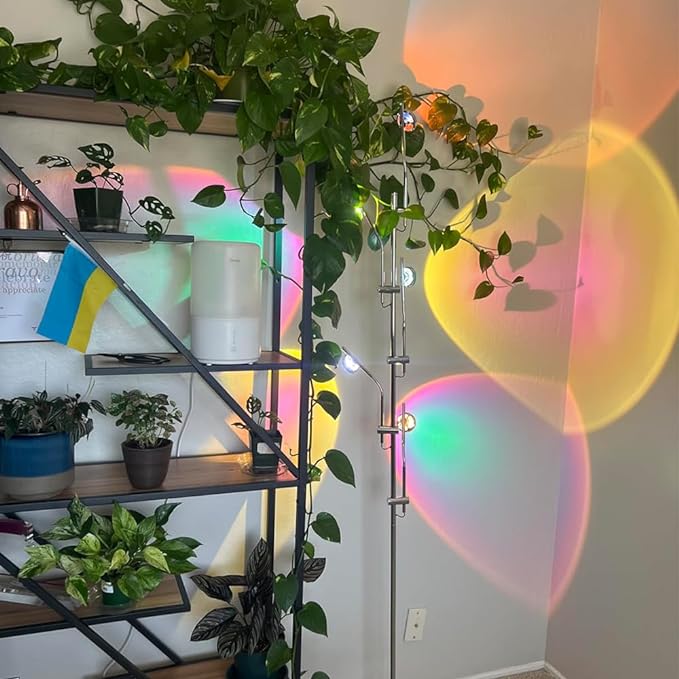 Sunset Lamp LED 5 Halo Projector Floor Lamp Corner Ambiance Indoor Decorative Lighting Live Streaming Background Light for Bedroom, Living Room Restaurant Dance Studio -Tiktok Live Streaming Light - LeafyLoom