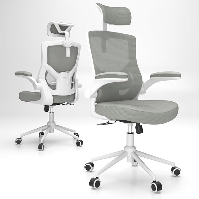 𝑯𝑶𝑴𝑬 𝑶𝑭𝑭𝑰𝑪𝑬 𝑪𝑯𝑨𝑰𝑹, Ergonomic Mesh Desk Chair, High Back Computer Chair- Adjustable Headrest with Flip-Up Arms, Lumbar Support, Swivel Executive Task Chair (Modern, Star Dust) - LeafyLoom