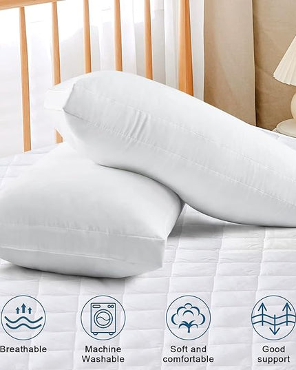 EIUE Bed Pillows for Sleeping 2 Pack Queen Size，Super Soft Down Alternative Microfiber Filled Pillows,20 x 30 Inches,White - LeafyLoom