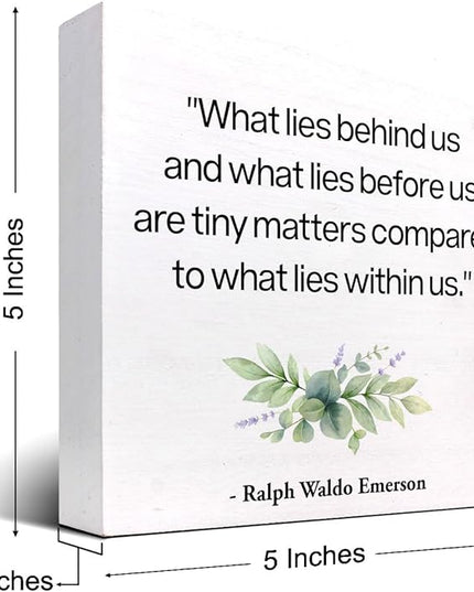 Inspirational Wood Box Sign Desk Decor,What Lies Before Us and What Lies Before Us Quote Wood Plaque Signs,Rustic Positive Wooden Block Sign Decor for Home Office Shelf Desk Table Decoration C1065 - LeafyLoom