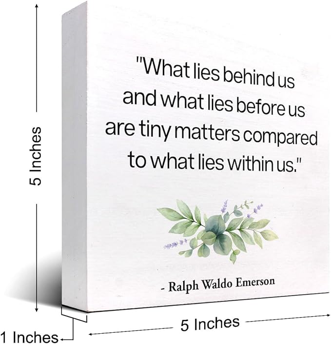 Inspirational Wood Box Sign Desk Decor,What Lies Before Us and What Lies Before Us Quote Wood Plaque Signs,Rustic Positive Wooden Block Sign Decor for Home Office Shelf Desk Table Decoration C1065 - LeafyLoom