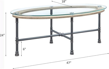 NicBex Coffee Table Morden Tempered Glass Coffee Table with Storage Oval Center Tables with Metal Legs Dining Table for Living Room, Dining Room, Office, and Bedroom,47" W, Transparent+Gray - LeafyLoom
