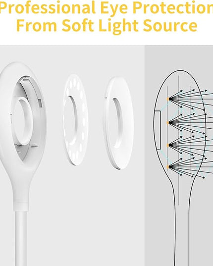 Clip on Light for Bed & Desk, Reading in Bed, Dorm, Flexible Gooseneck, Battery Operated Rechargeable Clamp Lamp for Headboard, Eye-Caring LED Light with 3 Brightness Modes - LeafyLoom