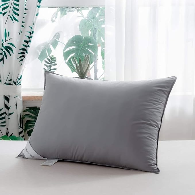 Grey Goose Feather Down Pillow for Back, Stomach or Side Sleepers 2 Pack,100% Cotton Cover Queen Size (20X30IN) Grey - LeafyLoom