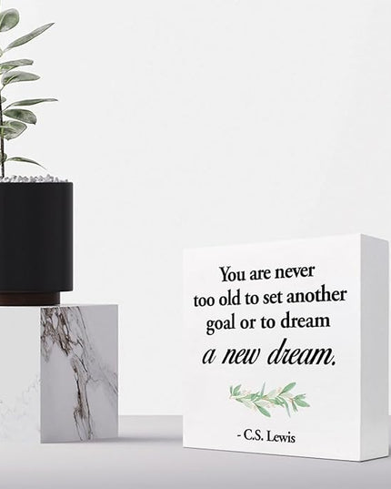 Inspirational Wood Box Sign Desk Decor,You are Never Too Old to Set Another Goal Wood Plaque Signs,Rustic Positive Wooden Block Sign for Home Office Shelf Desk Table Decoration C1064 - LeafyLoom