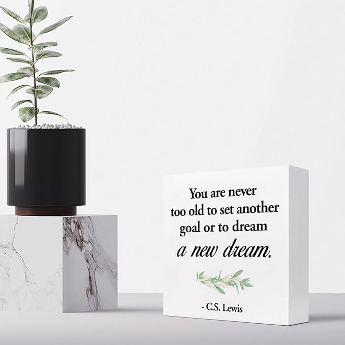 Inspirational Wood Box Sign Desk Decor,You are Never Too Old to Set Another Goal Wood Plaque Signs,Rustic Positive Wooden Block Sign for Home Office Shelf Desk Table Decoration C1064 - LeafyLoom