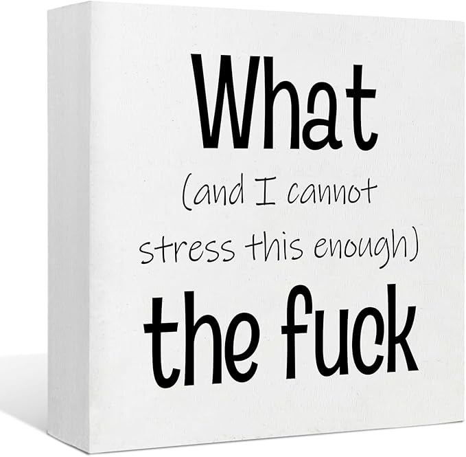 Funny Desk Decor Office Decorations for Work Funny Office Decor What and I Cannot Stress This Enough the Fuck Cool Office Decor Wooden Signs for Home Decor Office Desk Decor Funny Signs (5x5inch) - LeafyLoom
