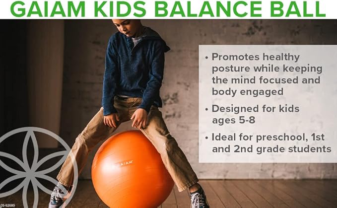 Balance Ball Chair - LeafyLoom