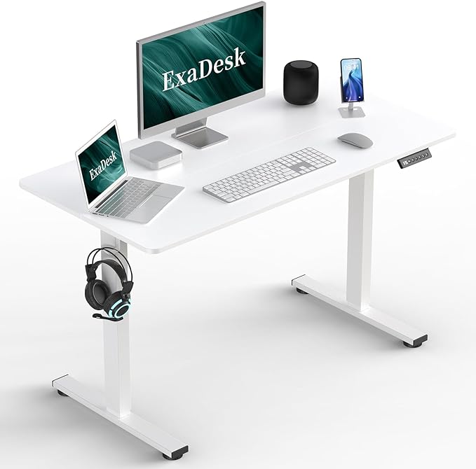 48 * 24 Inches Electric Standing Desk, Adjustable Height Sit Stand Up Desk with 3 Memory Presets, Motorized Home Office Computer Gaming Workstation Desk, White - LeafyLoom