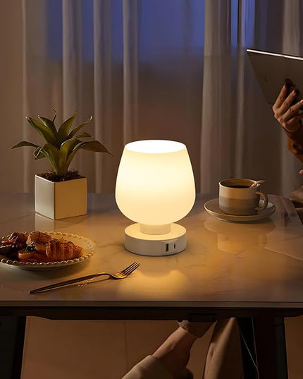 Kakanuo Bedside Table Lamps with Glass Shade, Touch Control, Dual USB A+C Charging Ports, Nightstand Lamps, 3-Way Dimmable, Bulbs Included, Set of 2 - LeafyLoom