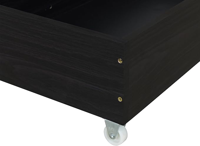RITSU Queen Size Modern Upholstered Platform Bed with LED Bedframe and 4 Drawers Storable, Rivet-Decorated Headboard, No Box Spring Required, for Living Room, Apartment, Black - LeafyLoom