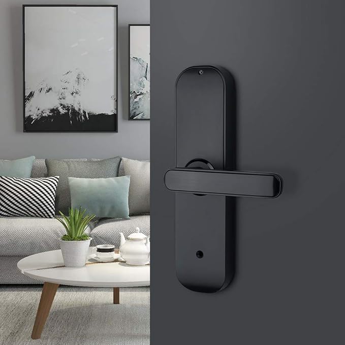 HAIFUAN M20 Bluetooth Digital Lock,Unlock with Fingerprints, Cards, Codes, App (Compatible with Alexa) (for Left Hand Doors Only) HAIFUAN