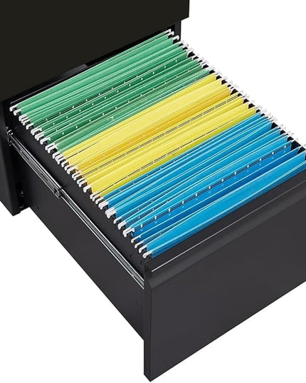 Panana 2-Drawer Mobile File Cabinet with Lock, Commercial Vertical Cabinet, Rolling Filing Cabinet for Letter/A4 Size (Black) - LeafyLoom