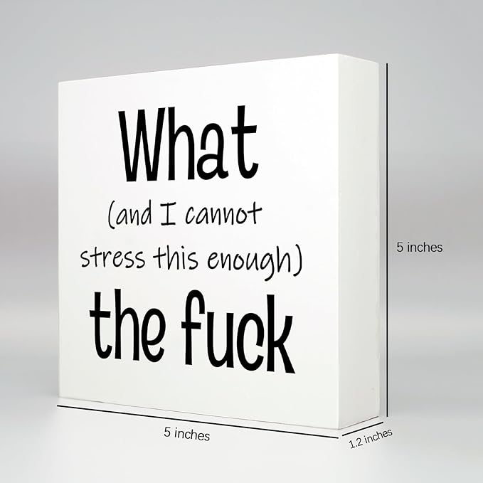 Funny Desk Decor Office Decorations for Work Funny Office Decor What and I Cannot Stress This Enough the Fuck Cool Office Decor Wooden Signs for Home Decor Office Desk Decor Funny Signs (5x5inch) - LeafyLoom