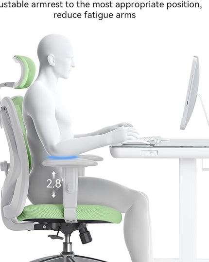 SIHOO M18 Ergonomic Office Chair, Computer Desk Chair with Adjustable Headrest and Lumbar Support, High Back Executive Swivel Chair for Home Office (Light Green) - LeafyLoom