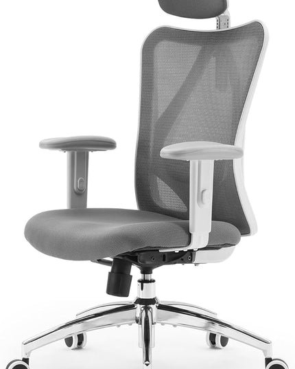 SIHOO M18 Ergonomic Office Chair, Computer Desk Chair with Adjustable Headrest and Lumbar Support, High Back Executive Swivel Chair for Home Office (Dark Gray) - LeafyLoom