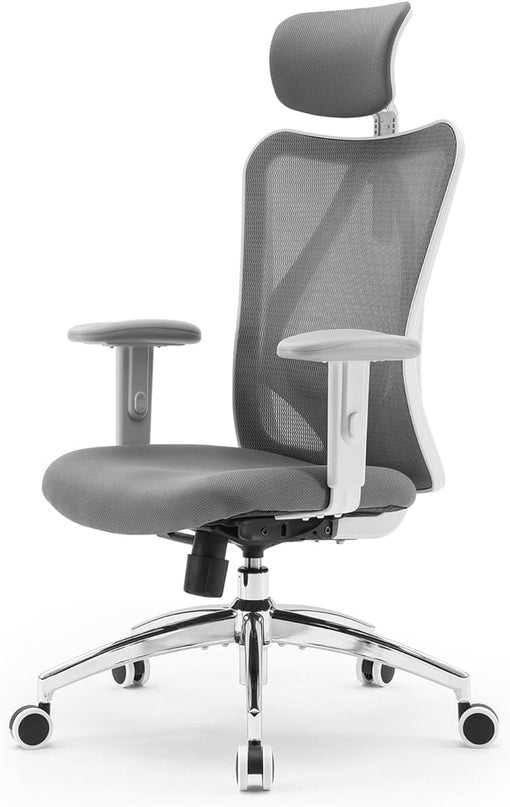 SIHOO M18 Ergonomic Office Chair, Computer Desk Chair with Adjustable Headrest and Lumbar Support, High Back Executive Swivel Chair for Home Office (Dark Gray) - LeafyLoom