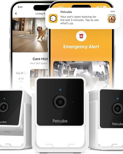 Petcube Cam The Pack of 3 | Indoor Wi-Fi Pet Security Camera with Phone App, 2-Way Audio and Video, Night Vision, 1080p HD Video and Smart Alerts Petcube