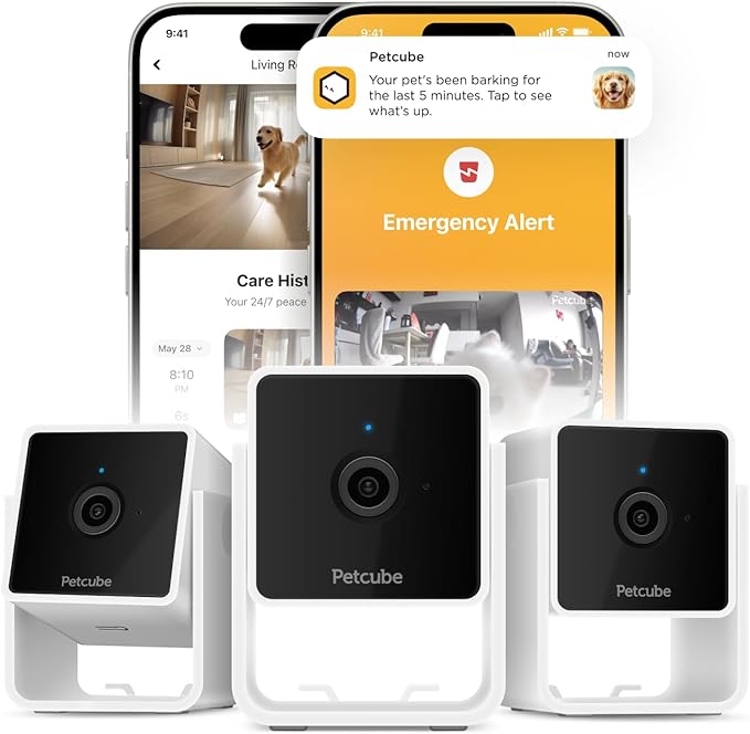 Petcube Cam The Pack of 3 | Indoor Wi-Fi Pet Security Camera with Phone App, 2-Way Audio and Video, Night Vision, 1080p HD Video and Smart Alerts Petcube