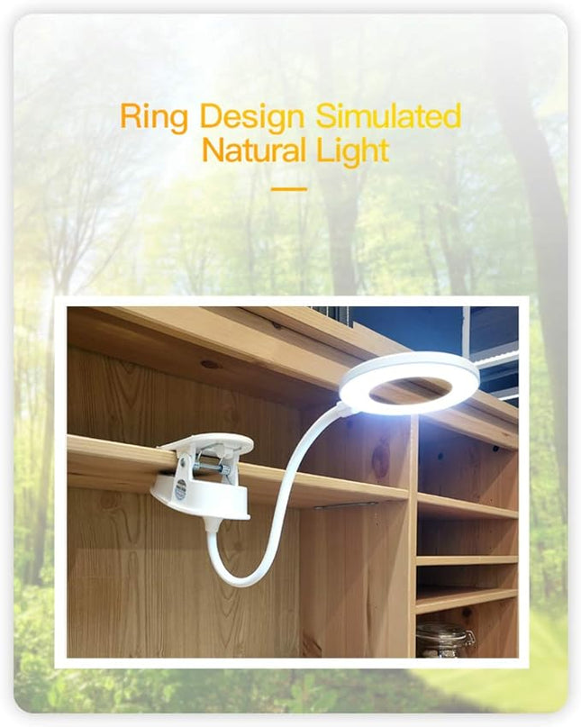 Clip on Lamp,Battery Powered Reading Lamp,Clip on Light for Bed Clip on Battery Light with 3 Brightness Level,USB Rechargeable, Reading Lamp - LeafyLoom