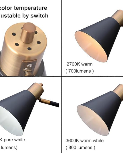 NIOSTA Height Adjustable Reading Floor Lamp,Industrial Modern Style,360 Degree Rotatable,Black & Brushed Copper Finsh, 3 Color Temperature (Black+Wood) - LeafyLoom